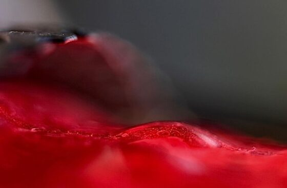 Abstract Artist paintings